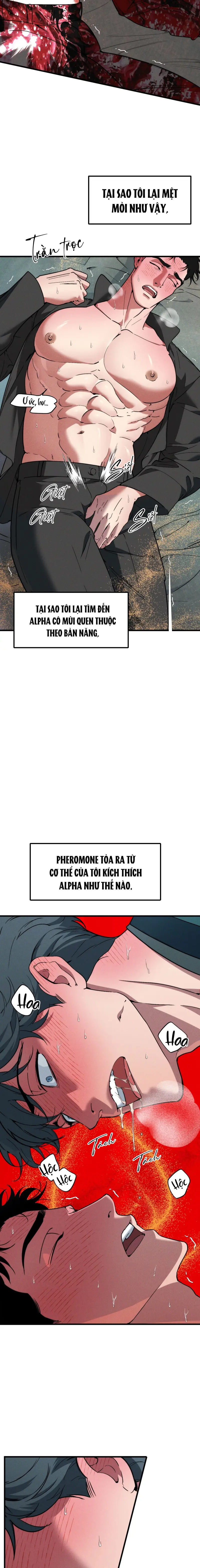 ANH CHỒNG TẾ PHẨM Chapter 36 - Trang 3