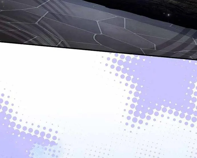 Anh Hùng Huyền Thoại Là Học Viên Danh Dự Của Học Viện Chapter 67 - Trang 2