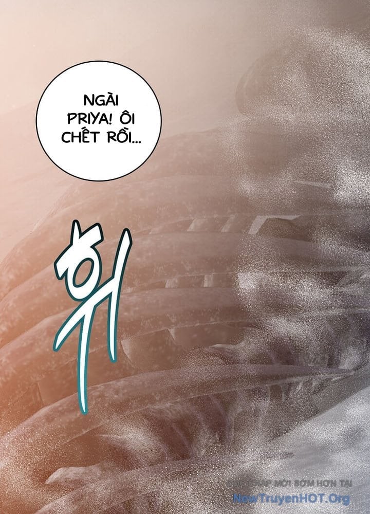 Anh Hùng Mạnh Nhất Trở Lại Chapter 212 18