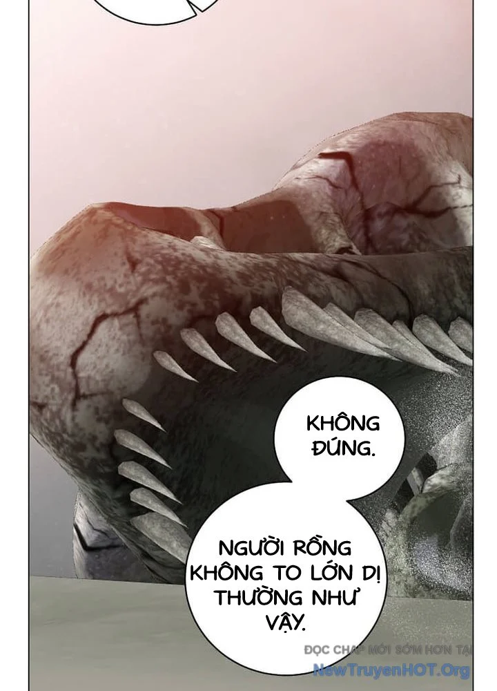 Anh Hùng Mạnh Nhất Trở Lại Chapter 212 22