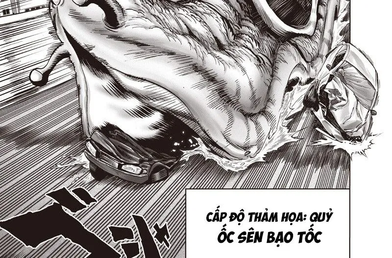 Anh Hùng Onepunch Chapter 295 - Trang 2