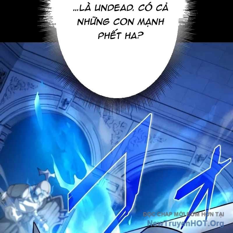 Anh Hùng Tái Xuất Học Viện Chapter 20 - Trang 2