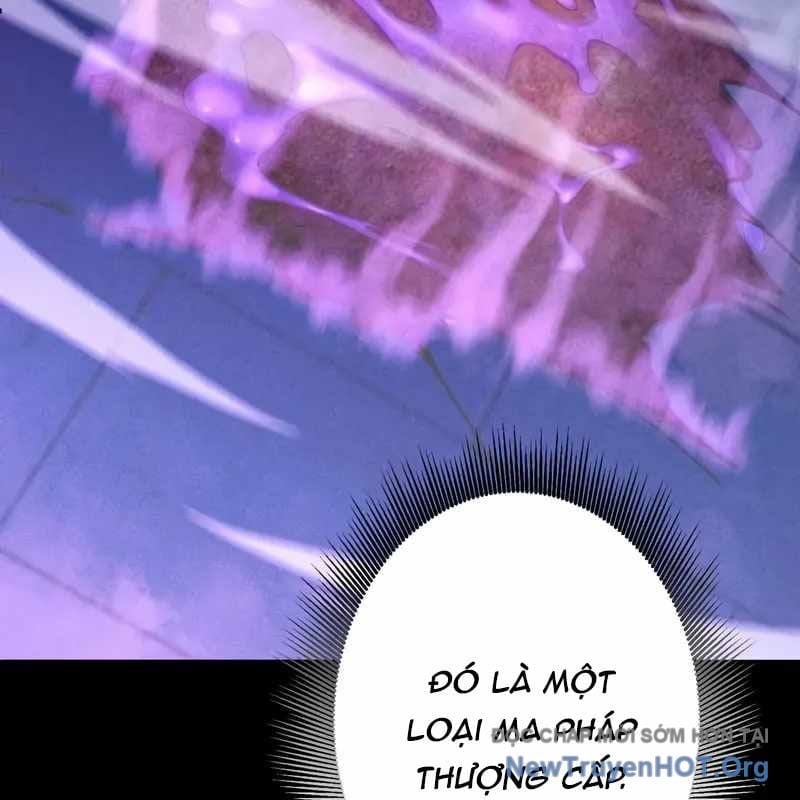 Anh Hùng Tái Xuất Học Viện Chapter 20 - Trang 2
