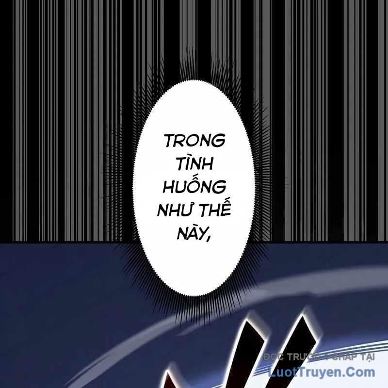 Anh Hùng Tái Xuất Học Viện Chapter 23 - Trang 2