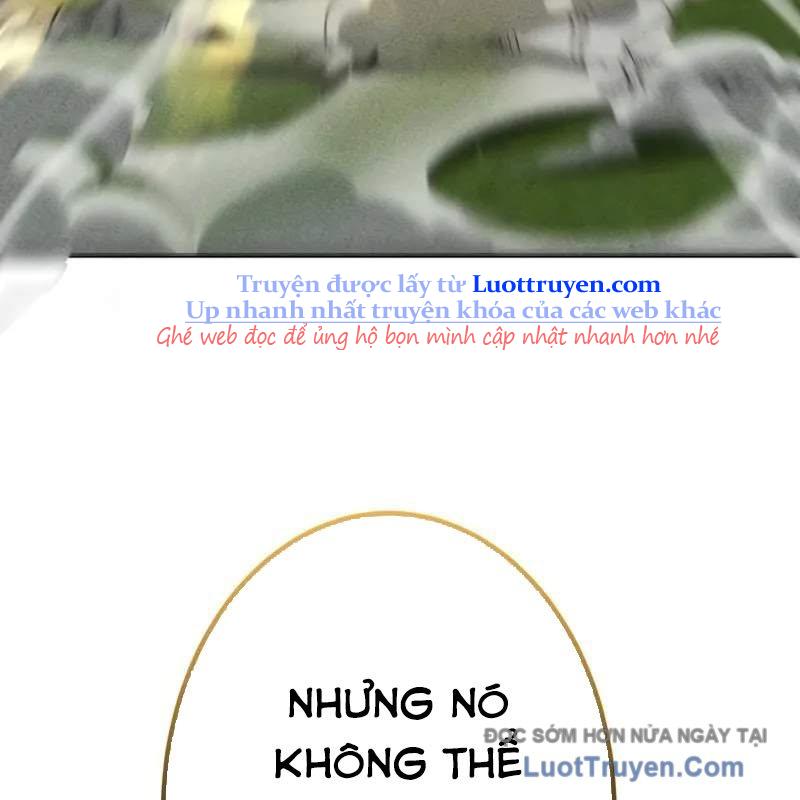 Anh Hùng Tái Xuất Học Viện Chapter 26 - Trang 2
