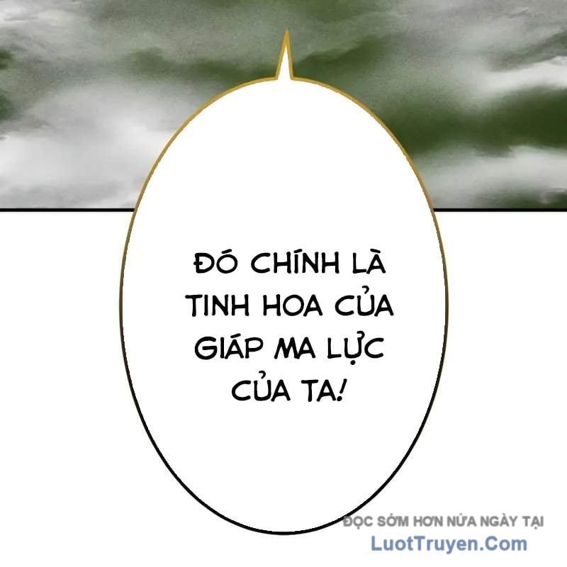 Anh Hùng Tái Xuất Học Viện Chapter 26 - Trang 2