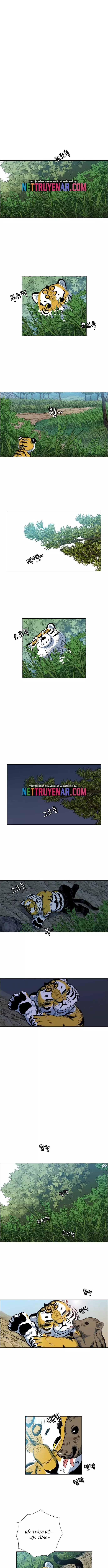Anh Trai Tôi Là Hổ Chapter 101 - Trang 3