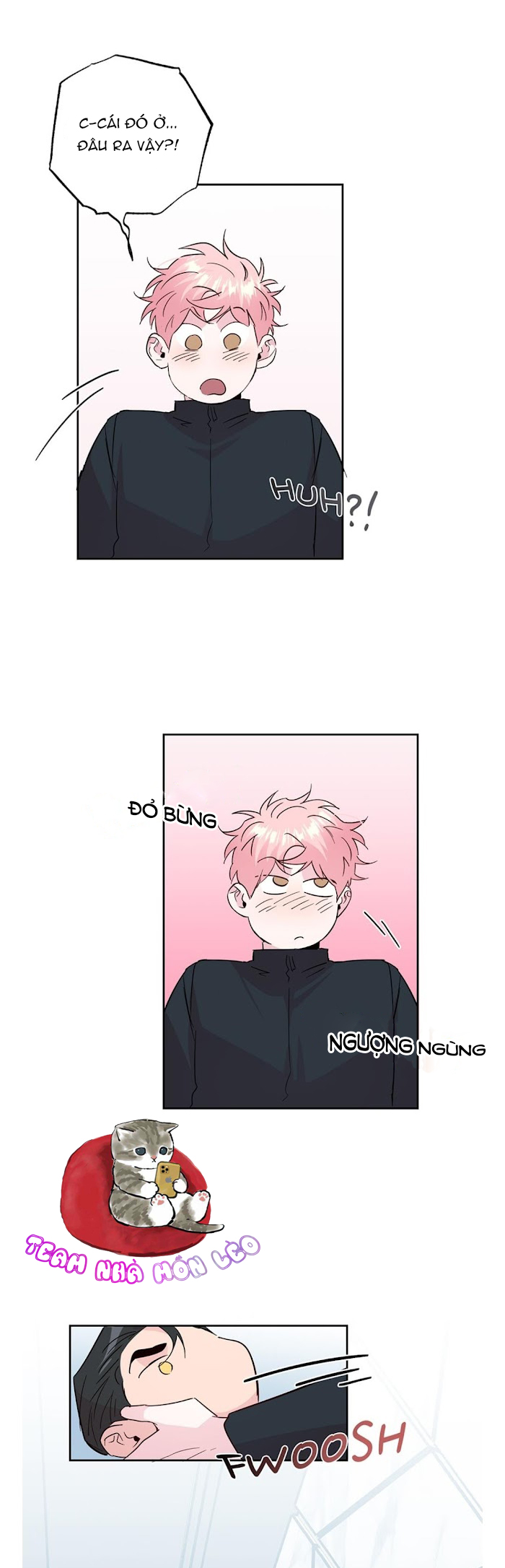 Assorted Wildness Chapter 60 - Trang 3