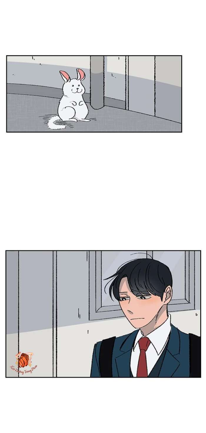 Ba Chàng Trai, Một Chú Sóc Sin-Sin Chapter 1 1