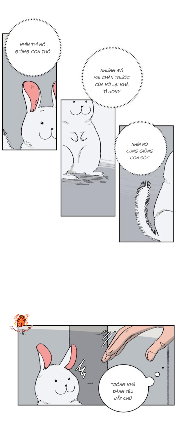 Ba Chàng Trai, Một Chú Sóc Sin-Sin Chapter 1 3