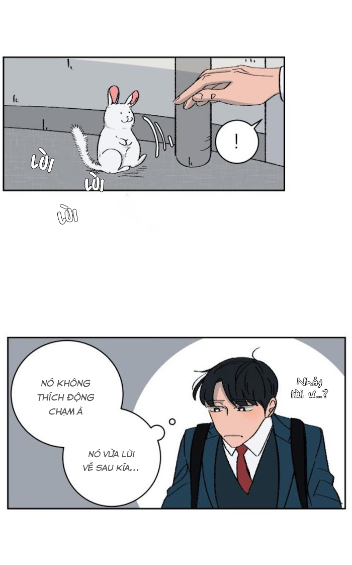 Ba Chàng Trai, Một Chú Sóc Sin-Sin Chapter 1 4