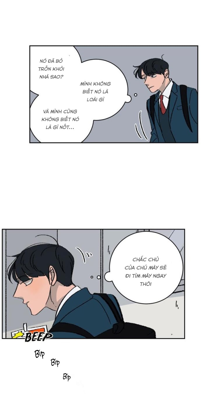 Ba Chàng Trai, Một Chú Sóc Sin-Sin Chapter 1 5