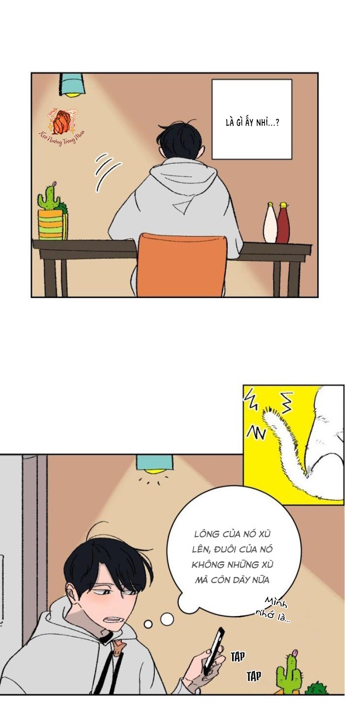 Ba Chàng Trai, Một Chú Sóc Sin-Sin Chapter 1 9