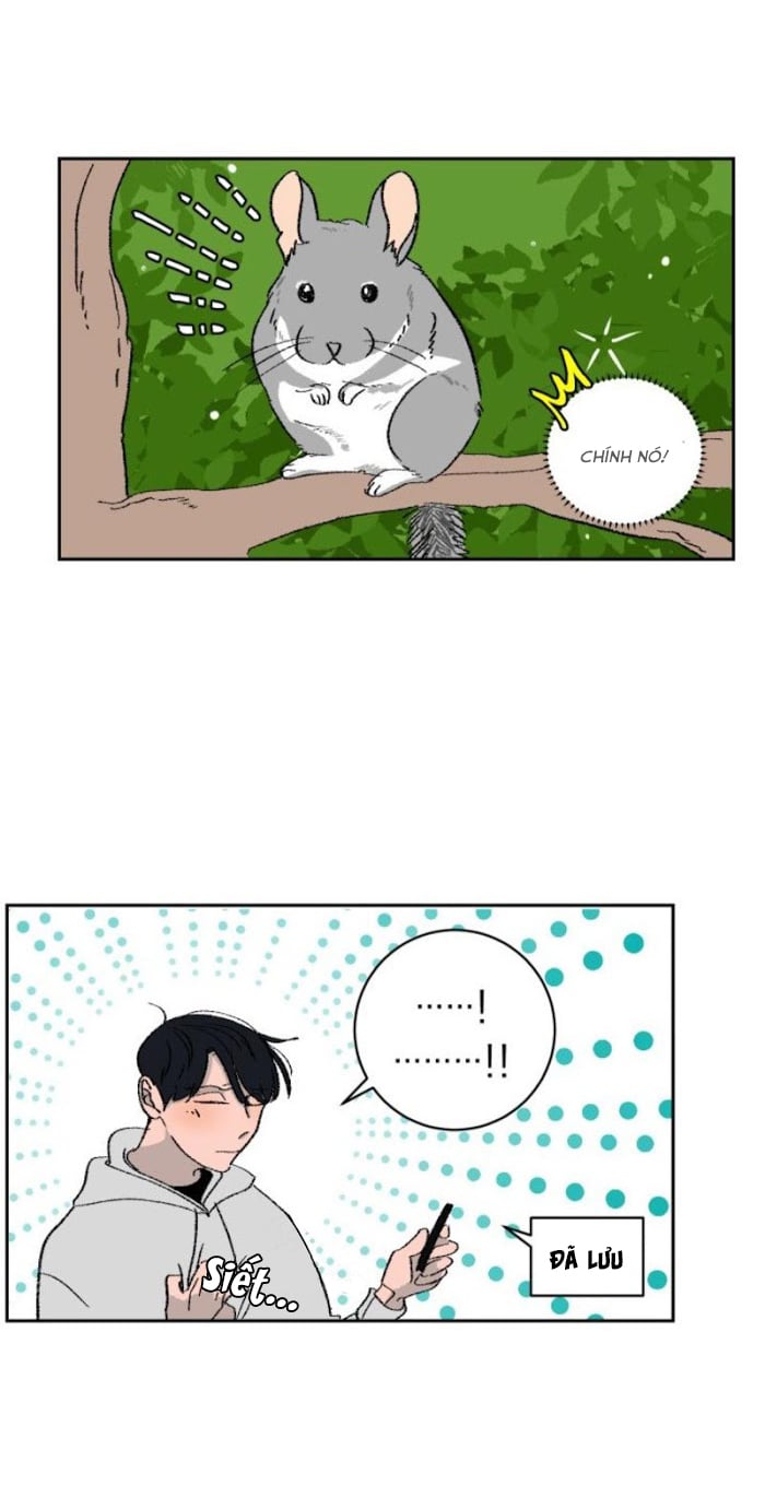Ba Chàng Trai, Một Chú Sóc Sin-Sin Chapter 1 12