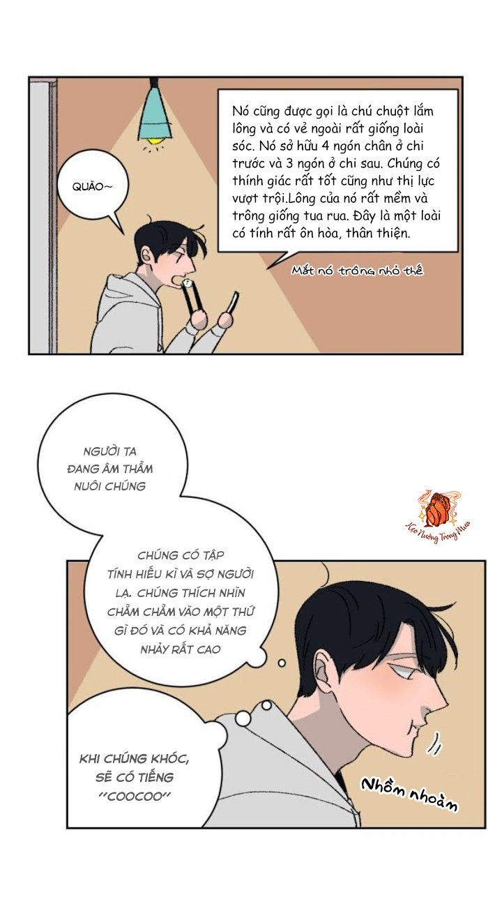 Ba Chàng Trai, Một Chú Sóc Sin-Sin Chapter 1 13