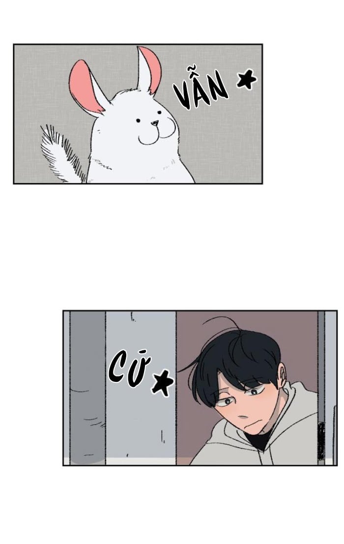 Ba Chàng Trai, Một Chú Sóc Sin-Sin Chapter 1 17