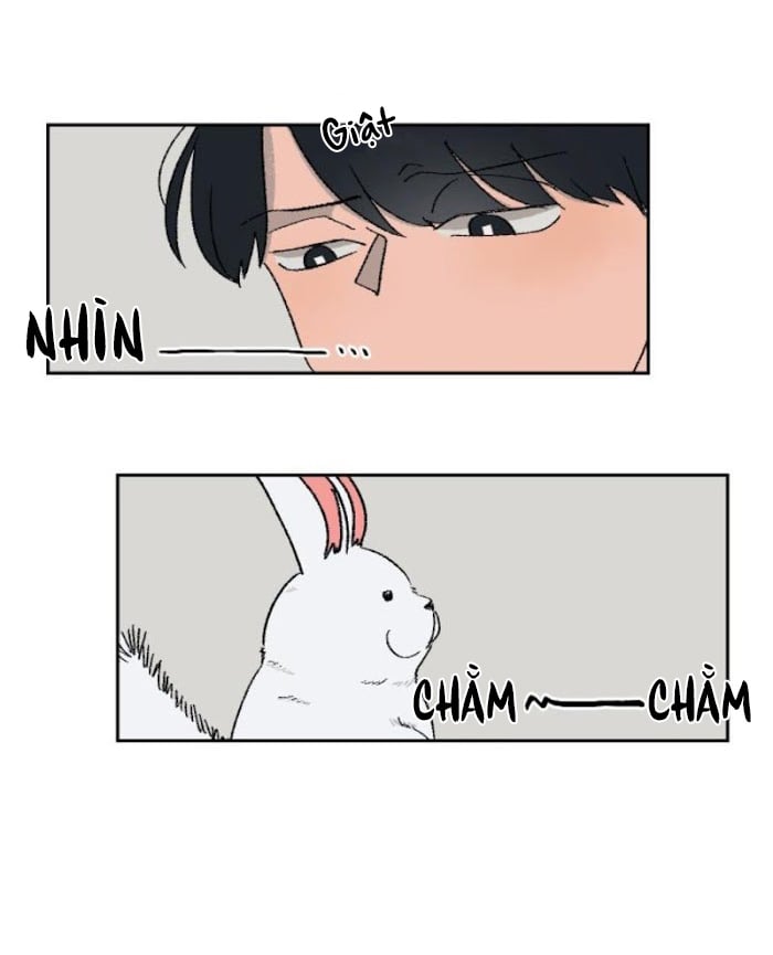 Ba Chàng Trai, Một Chú Sóc Sin-Sin Chapter 1 18