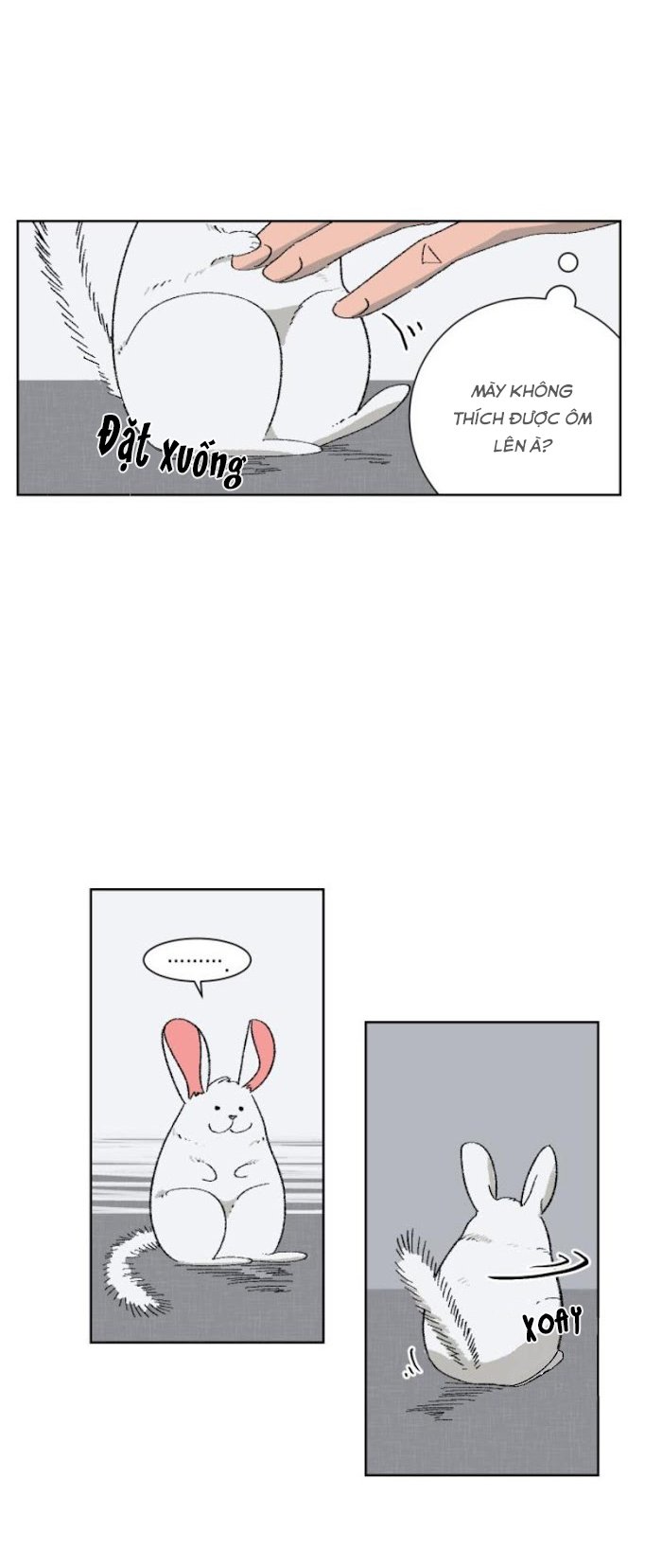 Ba Chàng Trai, Một Chú Sóc Sin-Sin Chapter 1 22