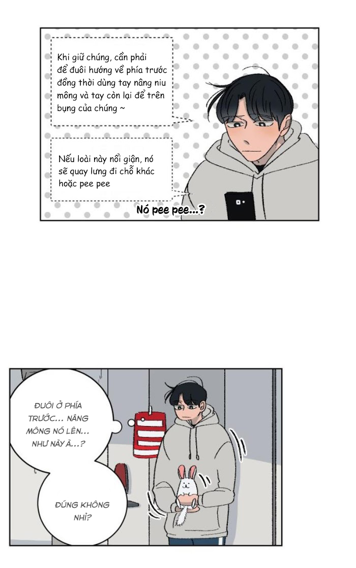 Ba Chàng Trai, Một Chú Sóc Sin-Sin Chapter 1 24