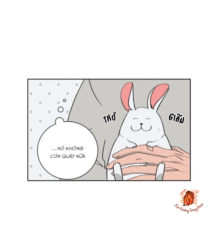 Ba Chàng Trai, Một Chú Sóc Sin-Sin Chapter 1 25