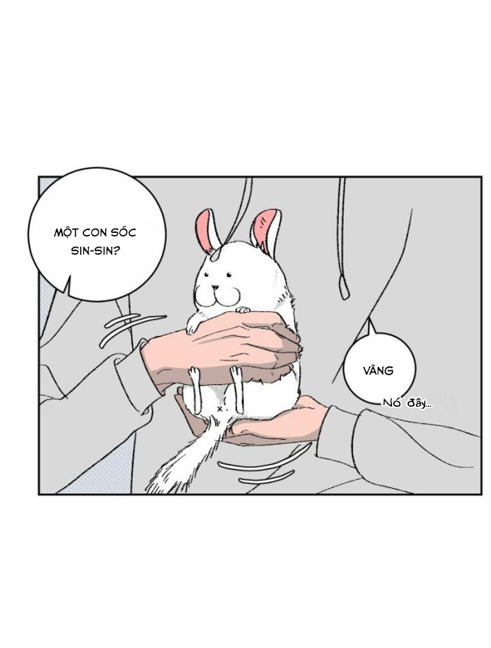 Ba Chàng Trai, Một Chú Sóc Sin-Sin Chapter 1 28