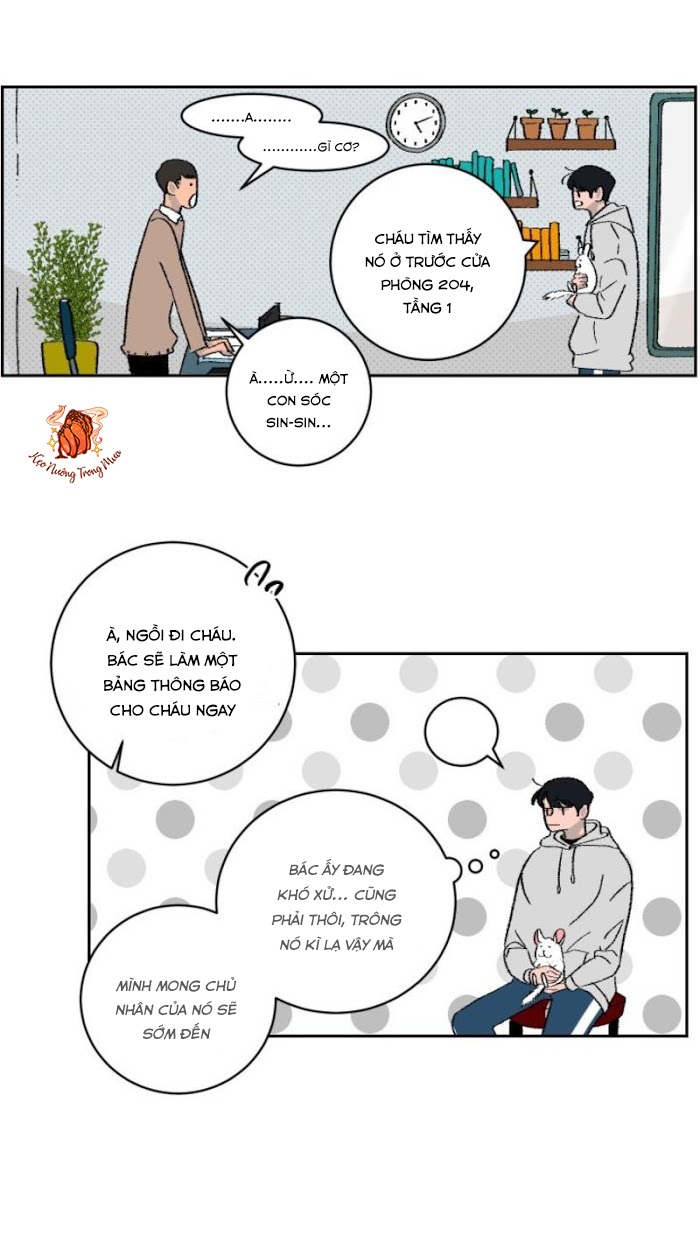 Ba Chàng Trai, Một Chú Sóc Sin-Sin Chapter 1 29