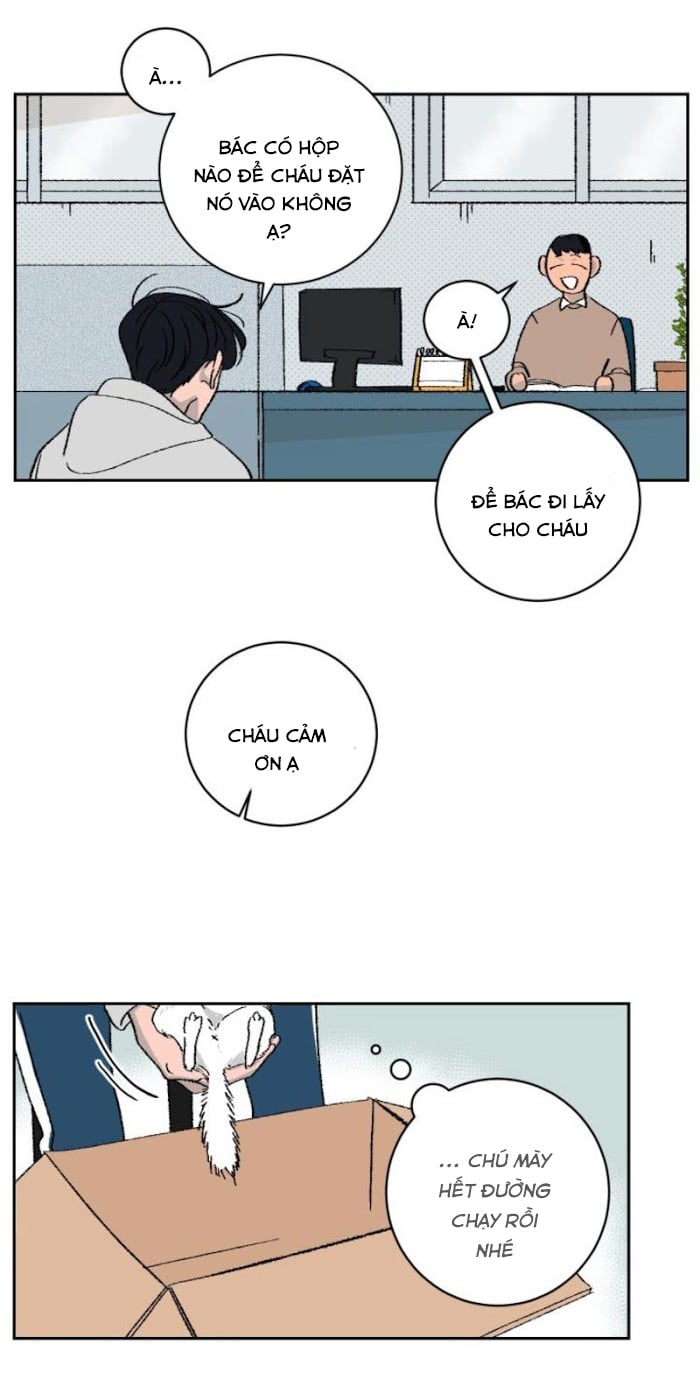 Ba Chàng Trai, Một Chú Sóc Sin-Sin Chapter 2 2