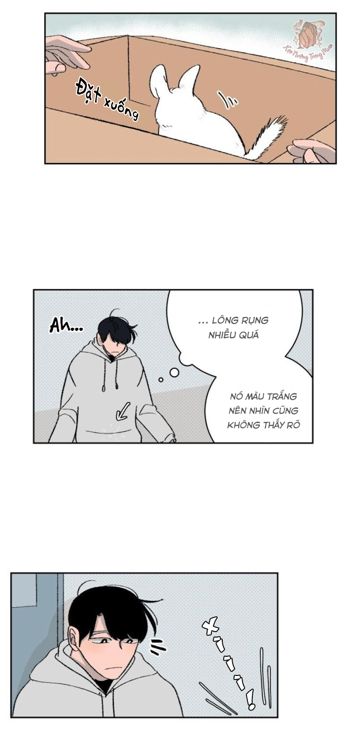 Ba Chàng Trai, Một Chú Sóc Sin-Sin Chapter 2 3