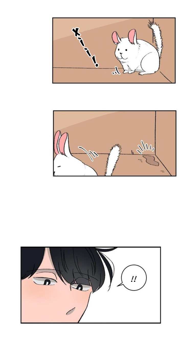 Ba Chàng Trai, Một Chú Sóc Sin-Sin Chapter 2 4