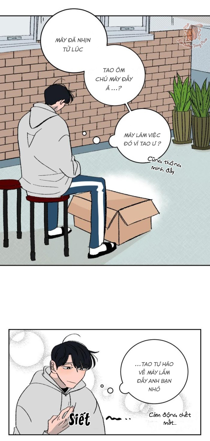 Ba Chàng Trai, Một Chú Sóc Sin-Sin Chapter 2 5