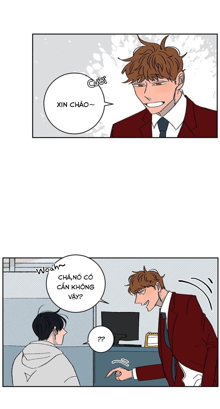 Ba Chàng Trai, Một Chú Sóc Sin-Sin Chapter 2 9