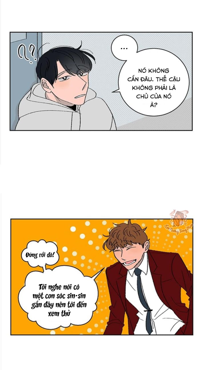 Ba Chàng Trai, Một Chú Sóc Sin-Sin Chapter 2 10