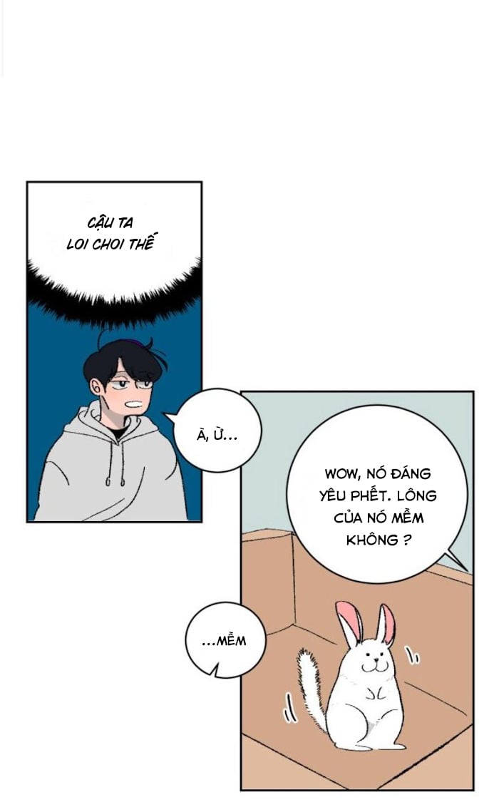 Ba Chàng Trai, Một Chú Sóc Sin-Sin Chapter 2 11