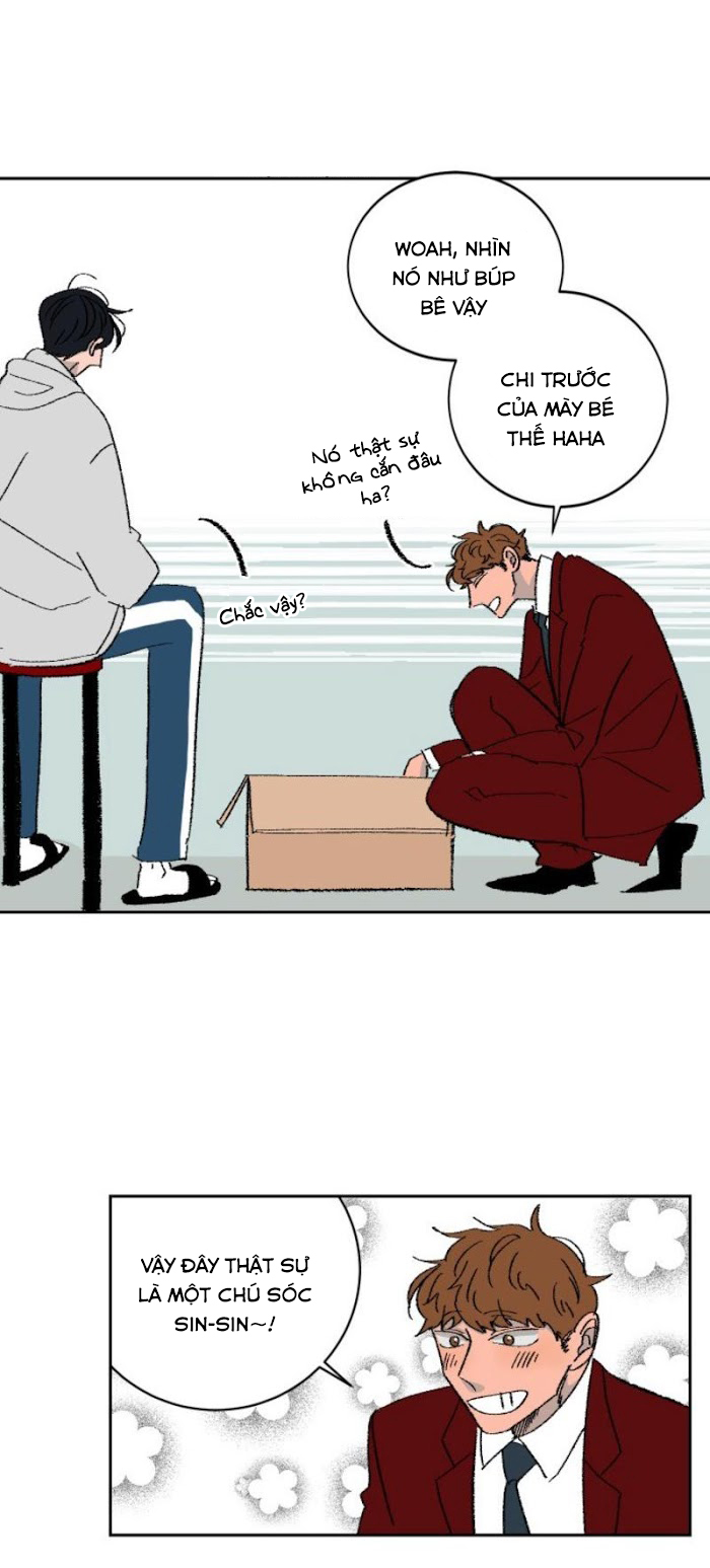 Ba Chàng Trai, Một Chú Sóc Sin-Sin Chapter 2 12