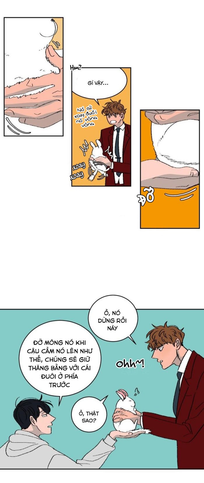 Ba Chàng Trai, Một Chú Sóc Sin-Sin Chapter 2 14