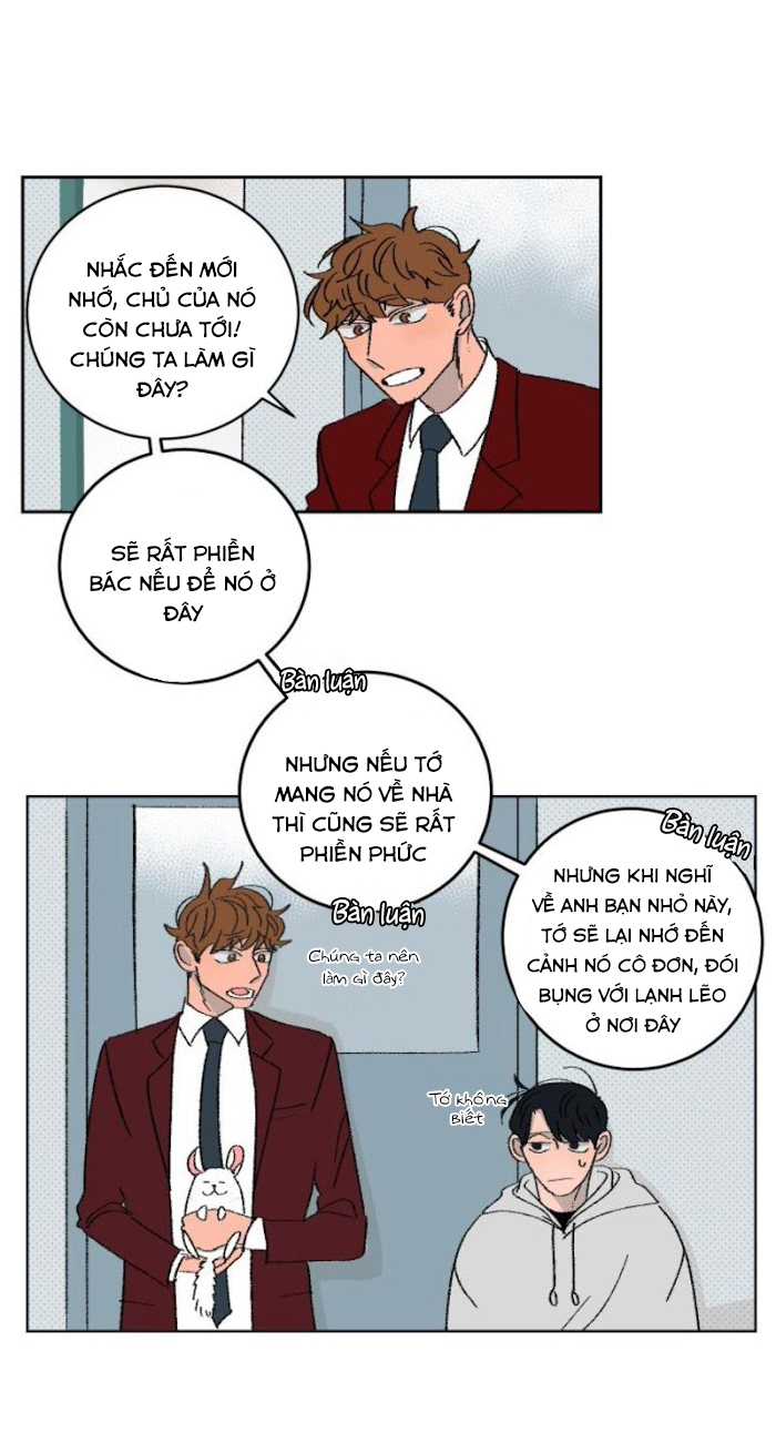Ba Chàng Trai, Một Chú Sóc Sin-Sin Chapter 2 18