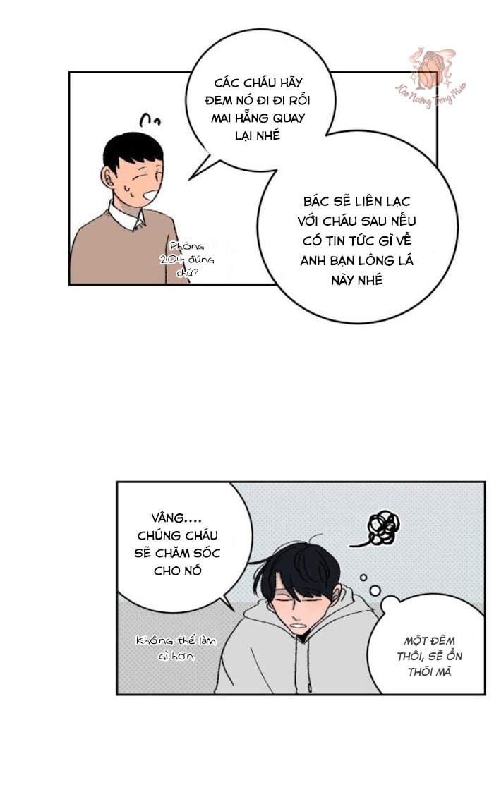 Ba Chàng Trai, Một Chú Sóc Sin-Sin Chapter 2 19