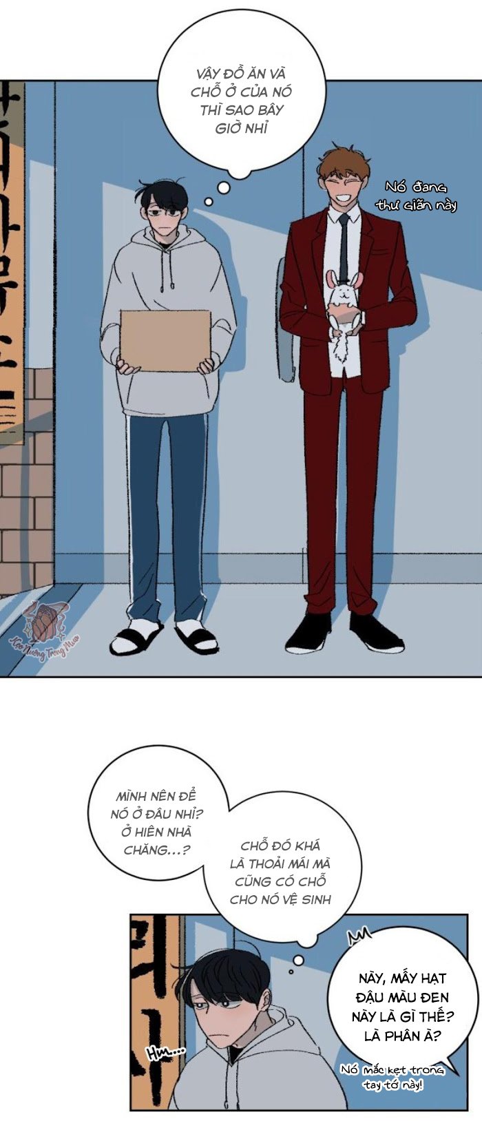 Ba Chàng Trai, Một Chú Sóc Sin-Sin Chapter 2 20