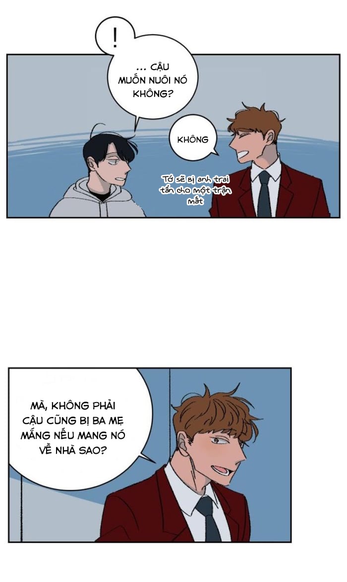 Ba Chàng Trai, Một Chú Sóc Sin-Sin Chapter 2 21