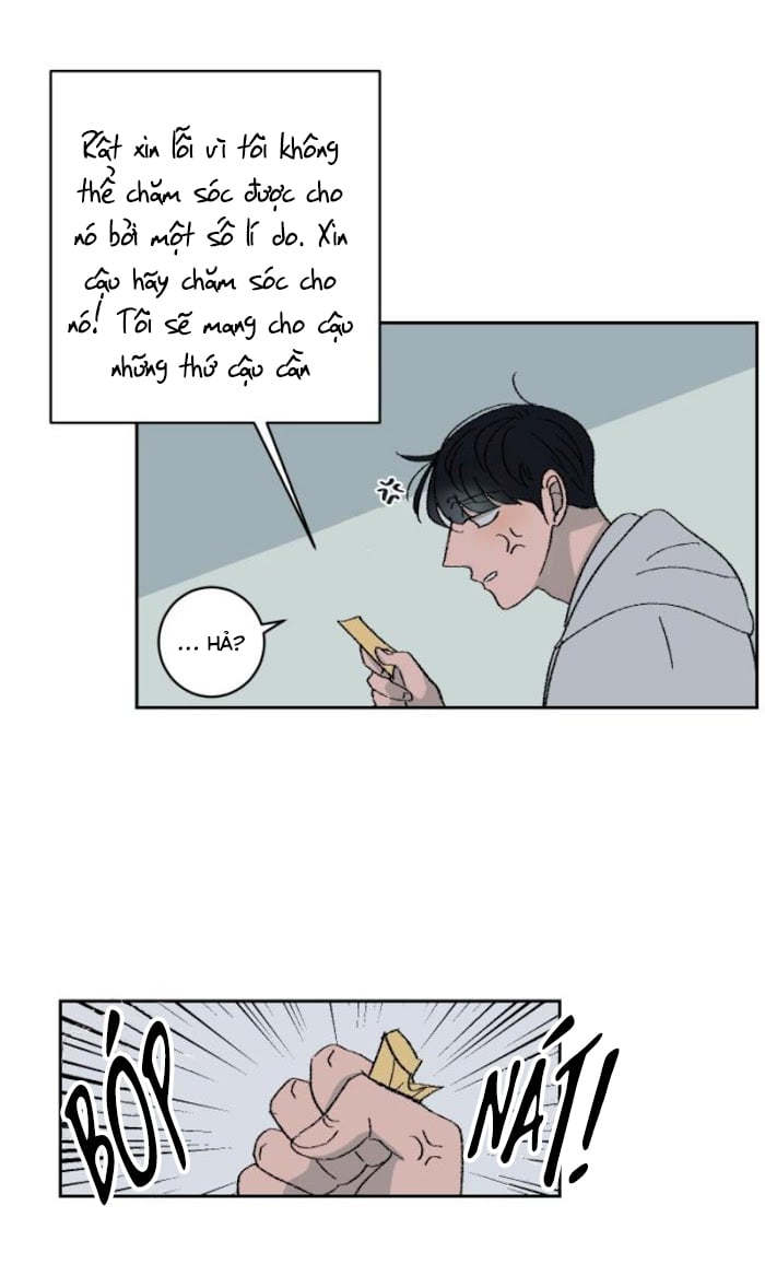 Ba Chàng Trai, Một Chú Sóc Sin-Sin Chapter 2 27