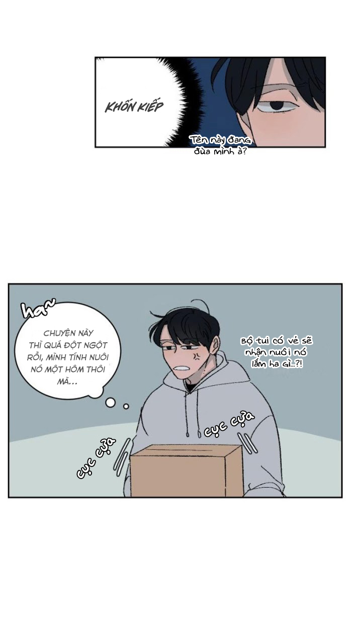 Ba Chàng Trai, Một Chú Sóc Sin-Sin Chapter 2 28