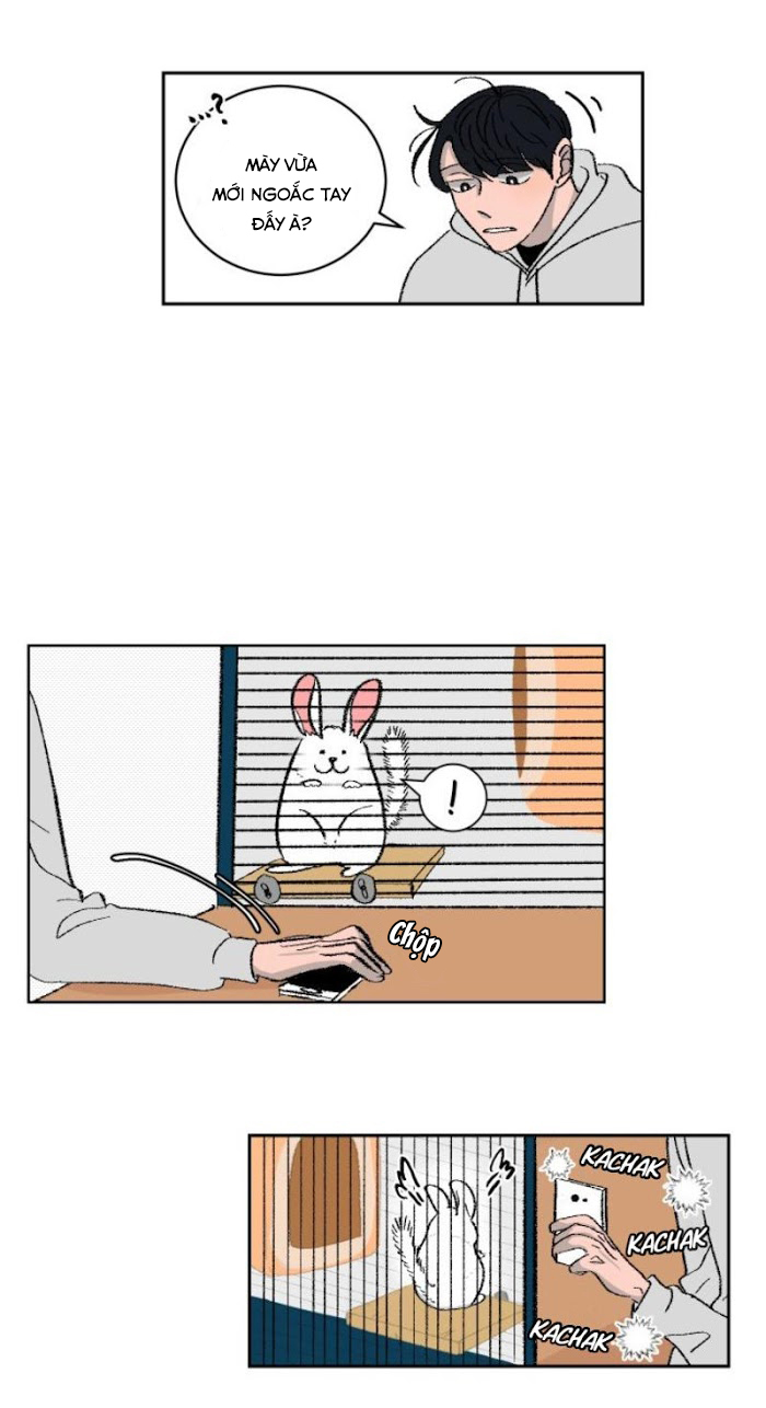 Ba Chàng Trai, Một Chú Sóc Sin-Sin Chapter 3 4