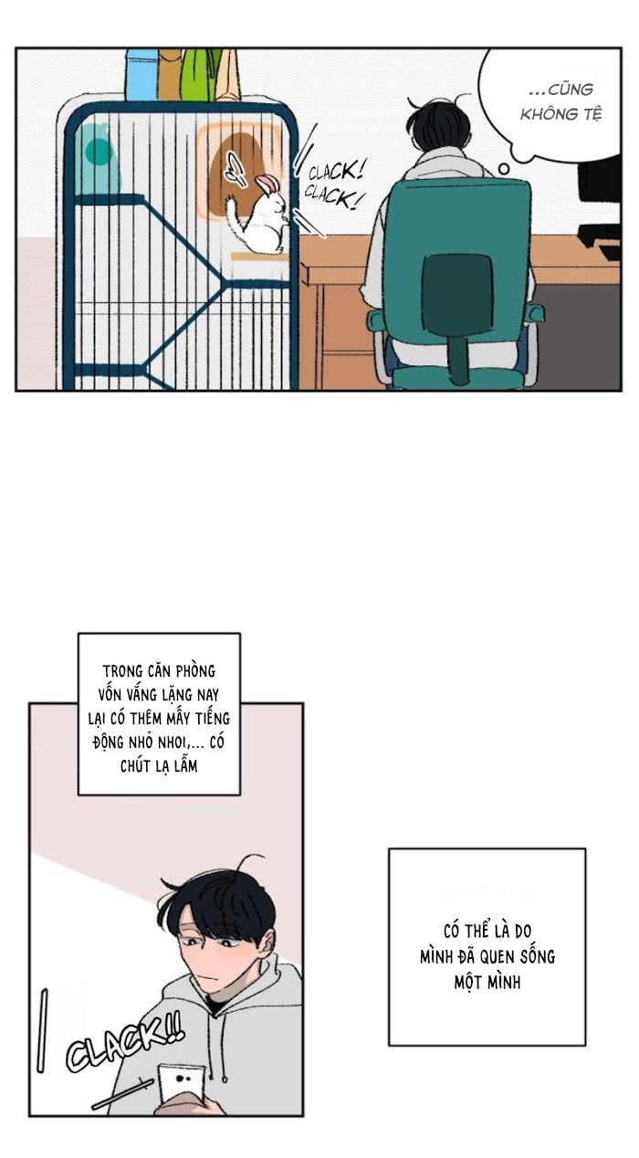 Ba Chàng Trai, Một Chú Sóc Sin-Sin Chapter 3 5