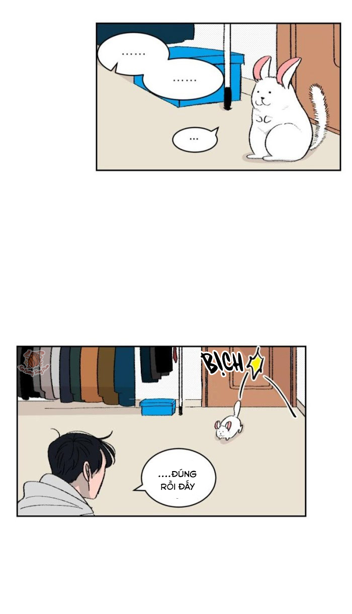 Ba Chàng Trai, Một Chú Sóc Sin-Sin Chapter 3 12