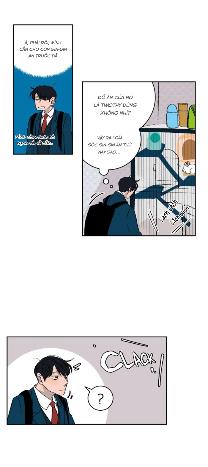 Ba Chàng Trai, Một Chú Sóc Sin-Sin Chapter 3 21