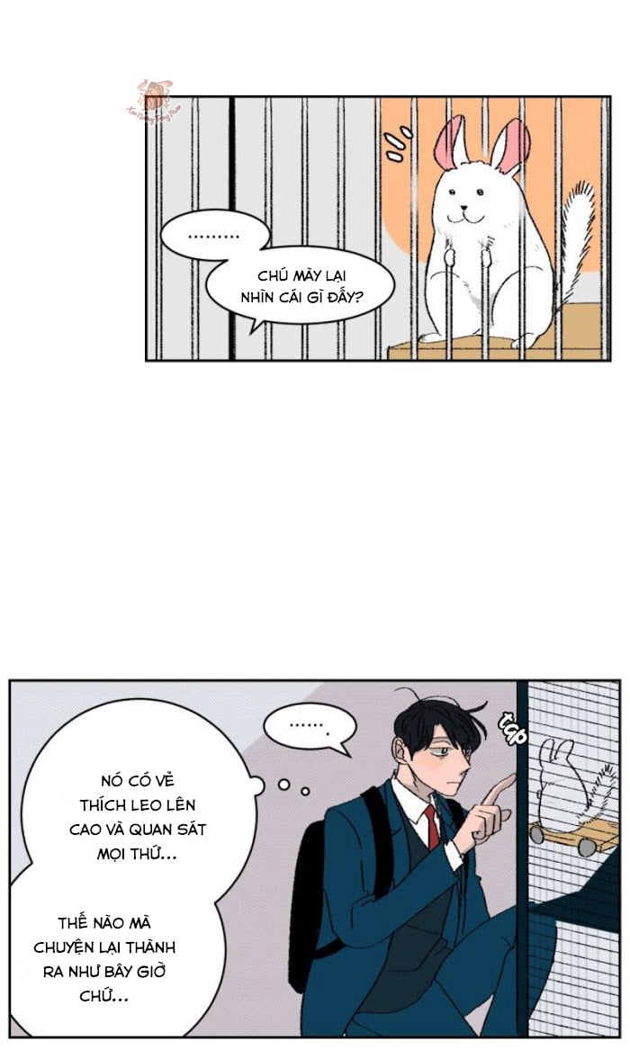 Ba Chàng Trai, Một Chú Sóc Sin-Sin Chapter 3 22