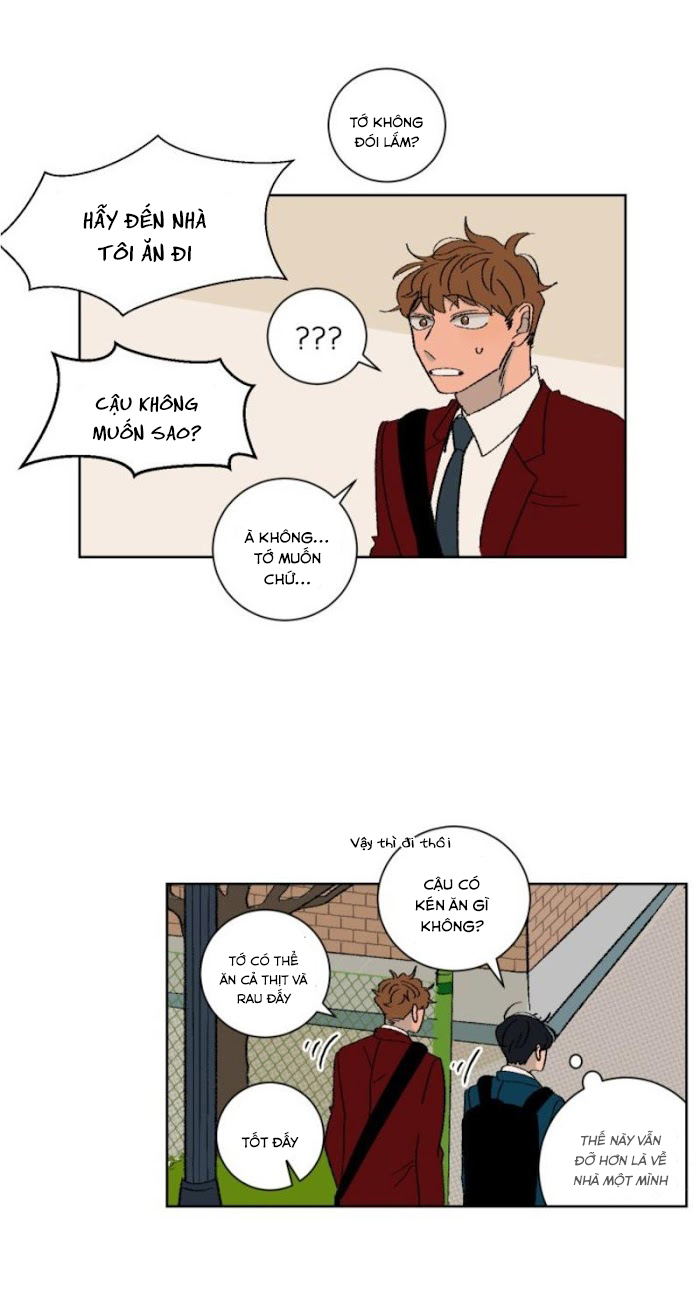 Ba Chàng Trai, Một Chú Sóc Sin-Sin Chapter 4 11