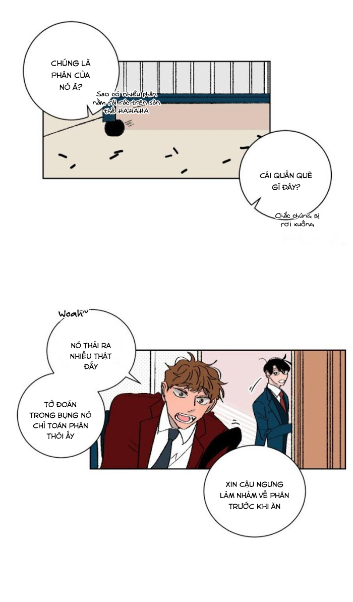 Ba Chàng Trai, Một Chú Sóc Sin-Sin Chapter 4 17