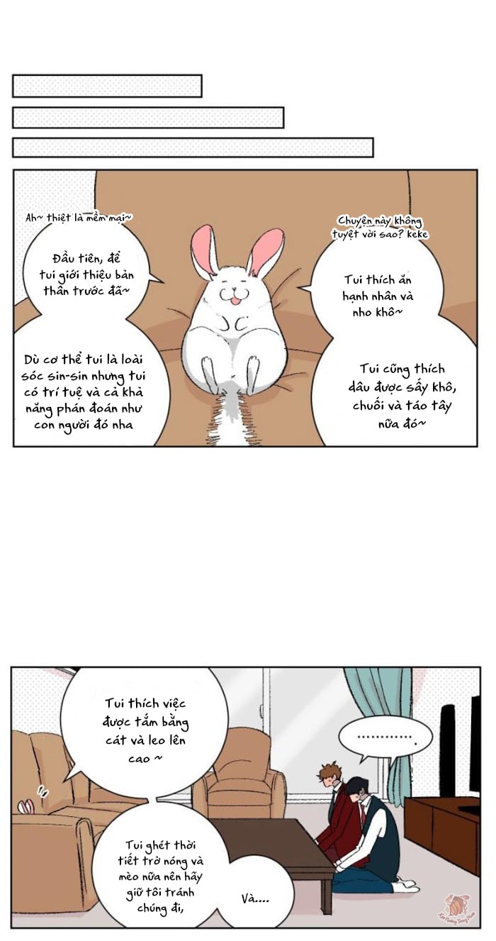 Ba Chàng Trai, Một Chú Sóc Sin-Sin Chapter 4 24