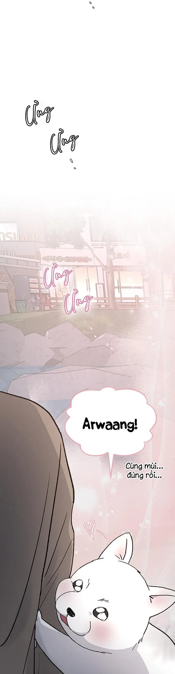 Ba Người Anh Trai Chapter 101 - Next Chapter 102